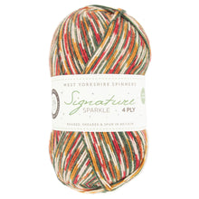 Load image into Gallery viewer, WYS Signature 4 ply Sock Yarn