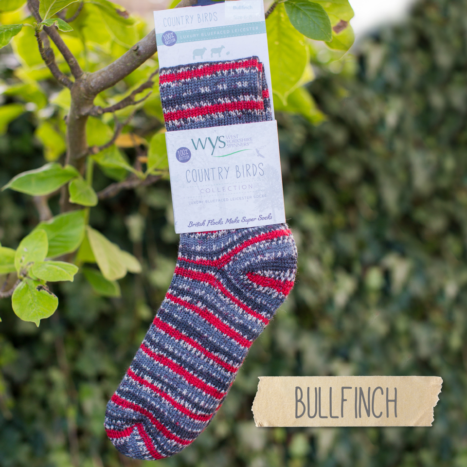 WYS - Ready Knit Socks