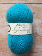 Load image into Gallery viewer, WYS Signature 4 ply Sock Yarn